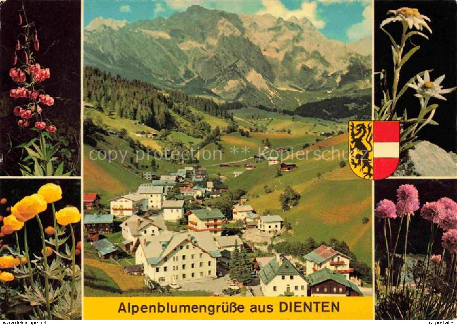 Dienten Hochkoenig Pinzgau-Pongau AT Alpenflora Ortsansicht