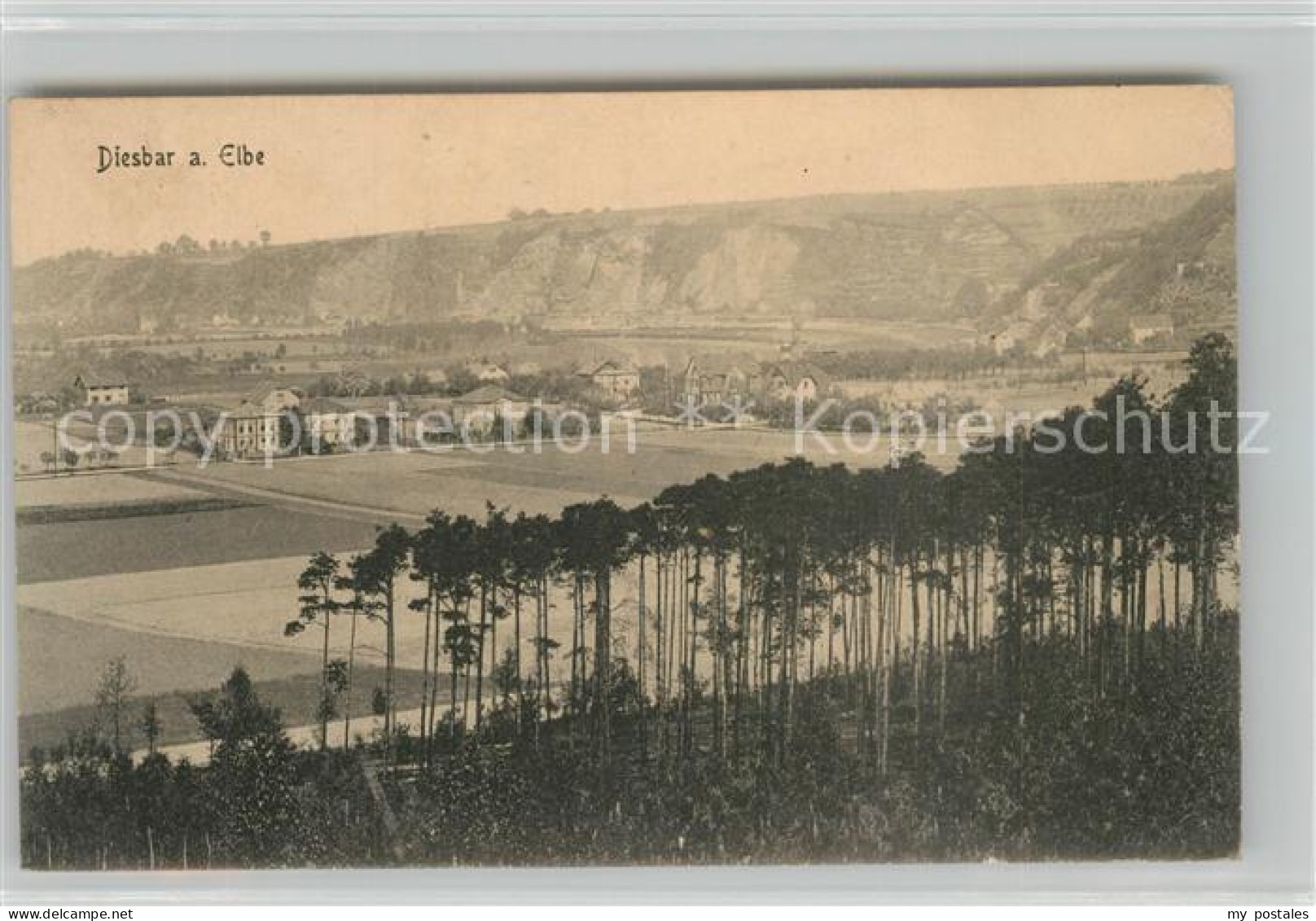 Diesbar-Seusslitz Elbepartie