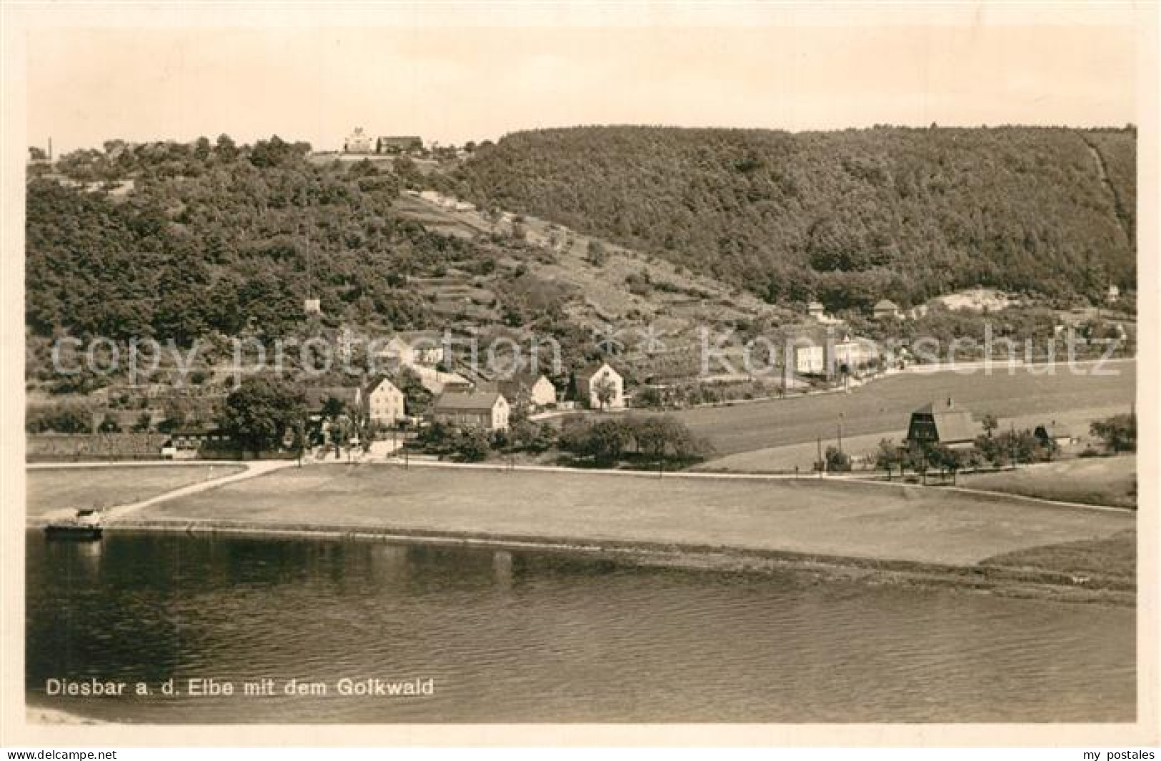 Diesbar-Seusslitz Panorama mit Blick zum Golkwald