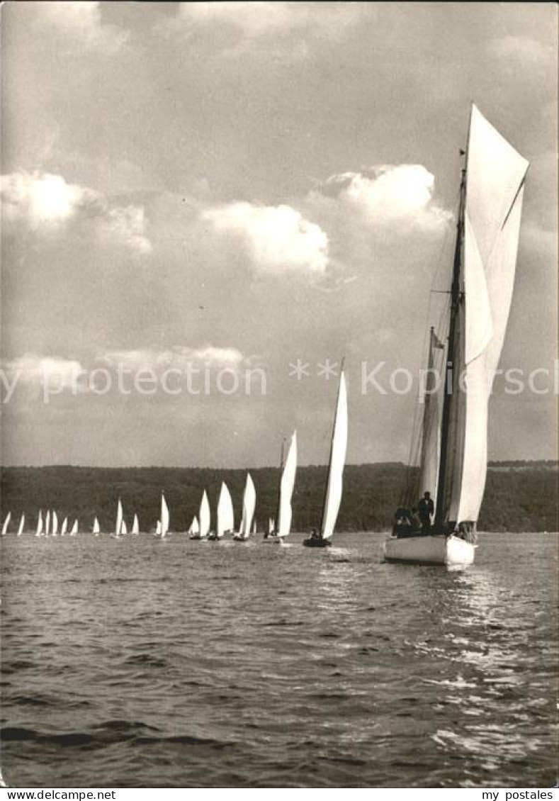 Diessen Ammersee Segelschule