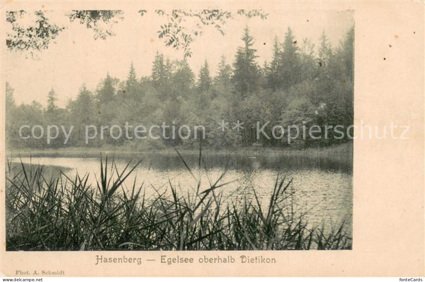 Dietikon ZH Hasenberg Egelseepartie
