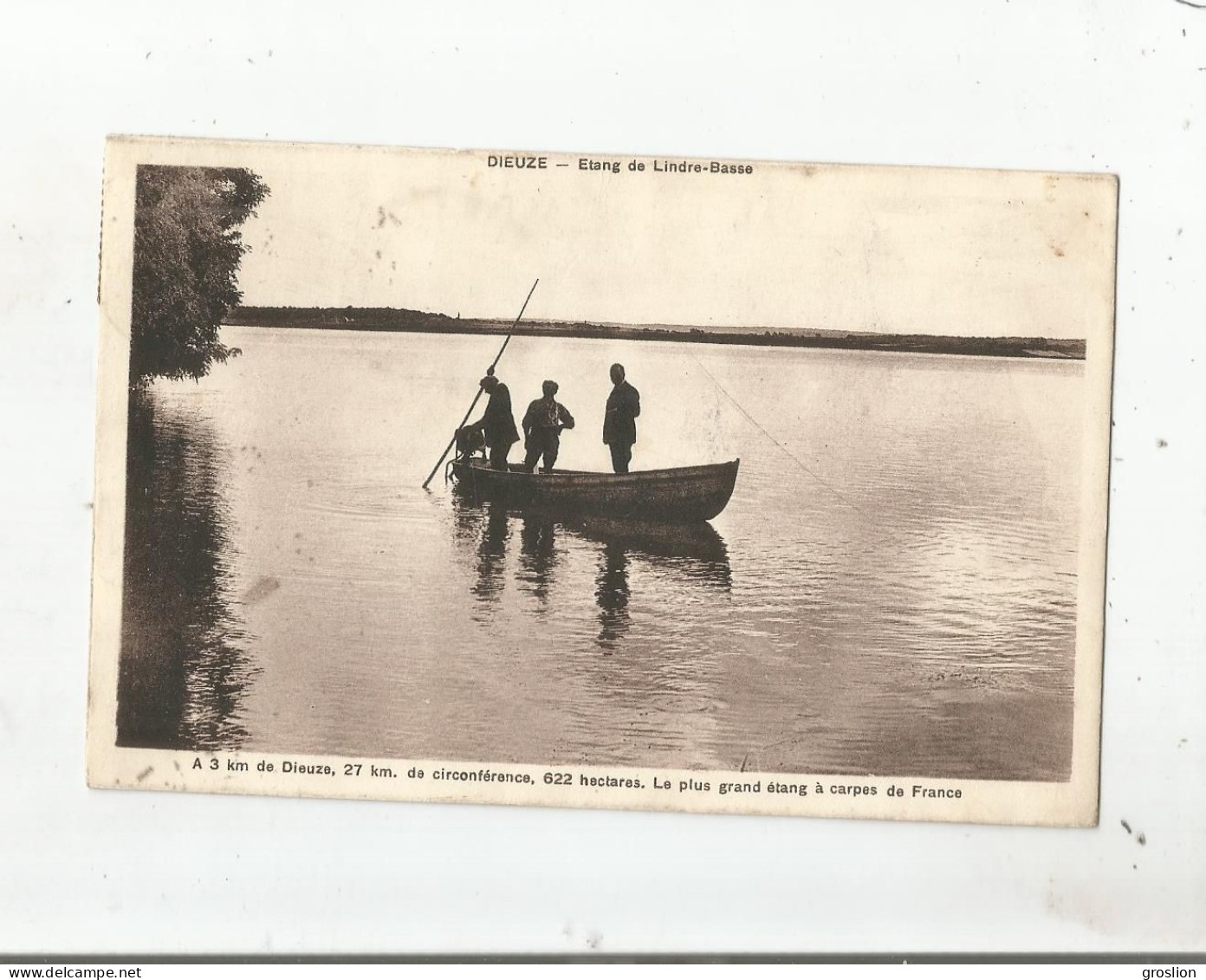 DIEUZE ETANG DE LINDRE BASSE A 3 KM DE DIEUZE 27 KM DE CIRCONFERENCE 622 HECTARES LE PLUS GRAND ETANG A CARPES DE FRANCE