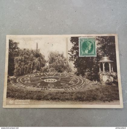 Differdange (Luxembourg)  Blumenuhr 1936