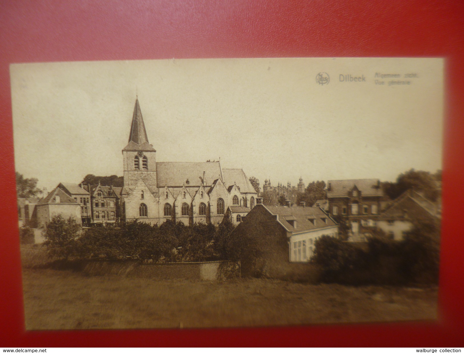 Dilbeek : Vue Générale (D1118)