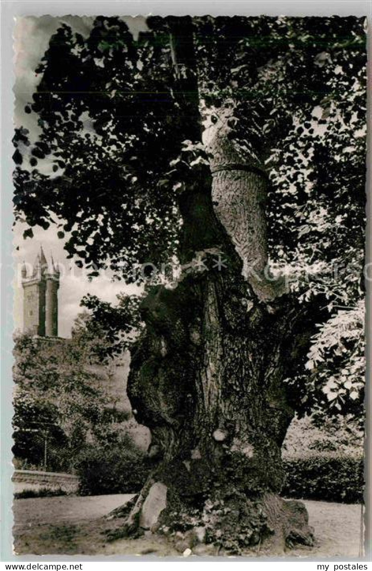 Dillenburg Wilhelmslinde