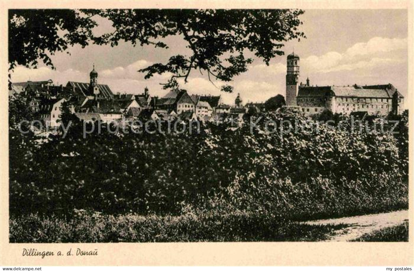 Dillingen Donau Panorama