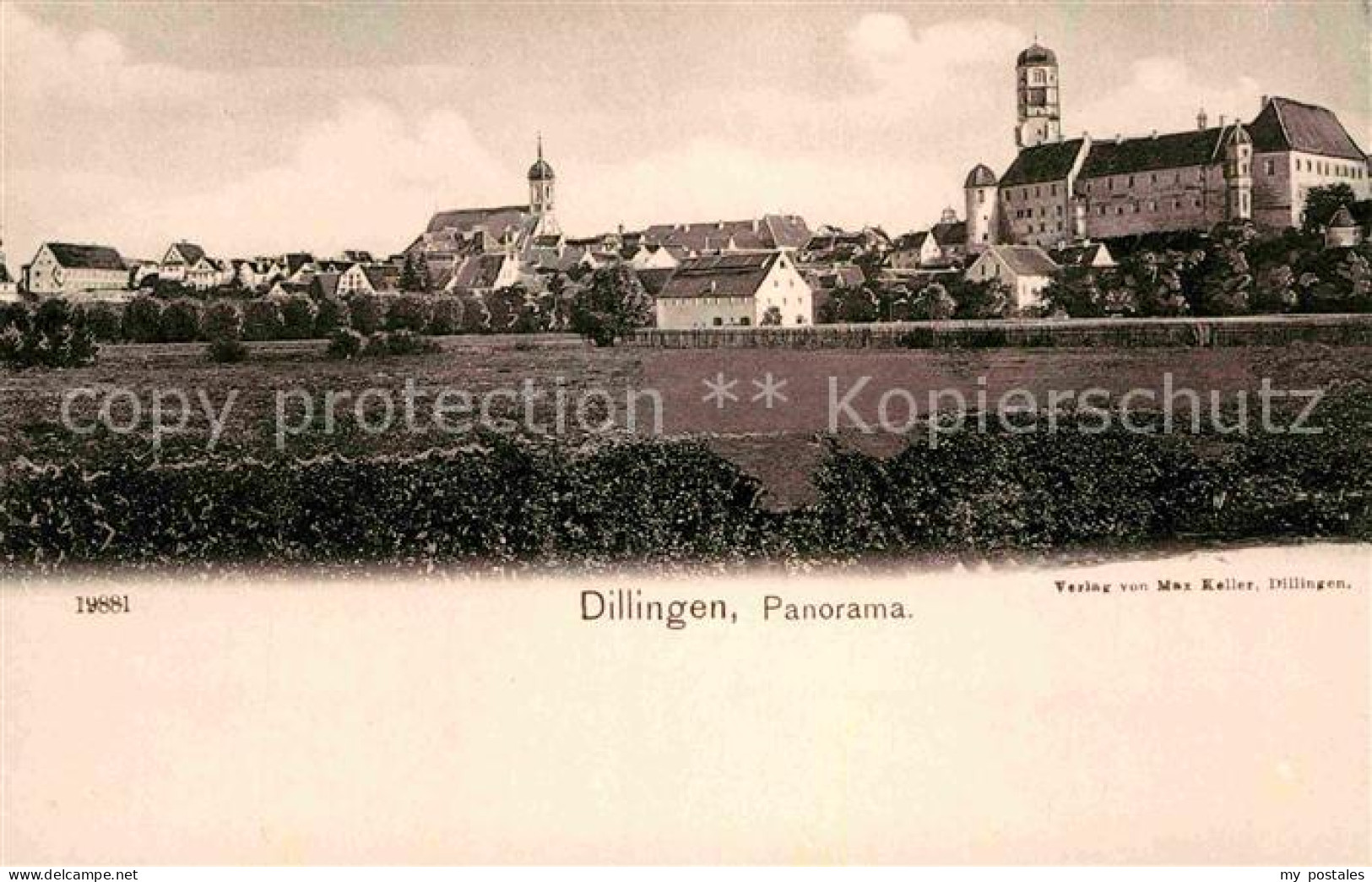 Dillingen Donau Panorama