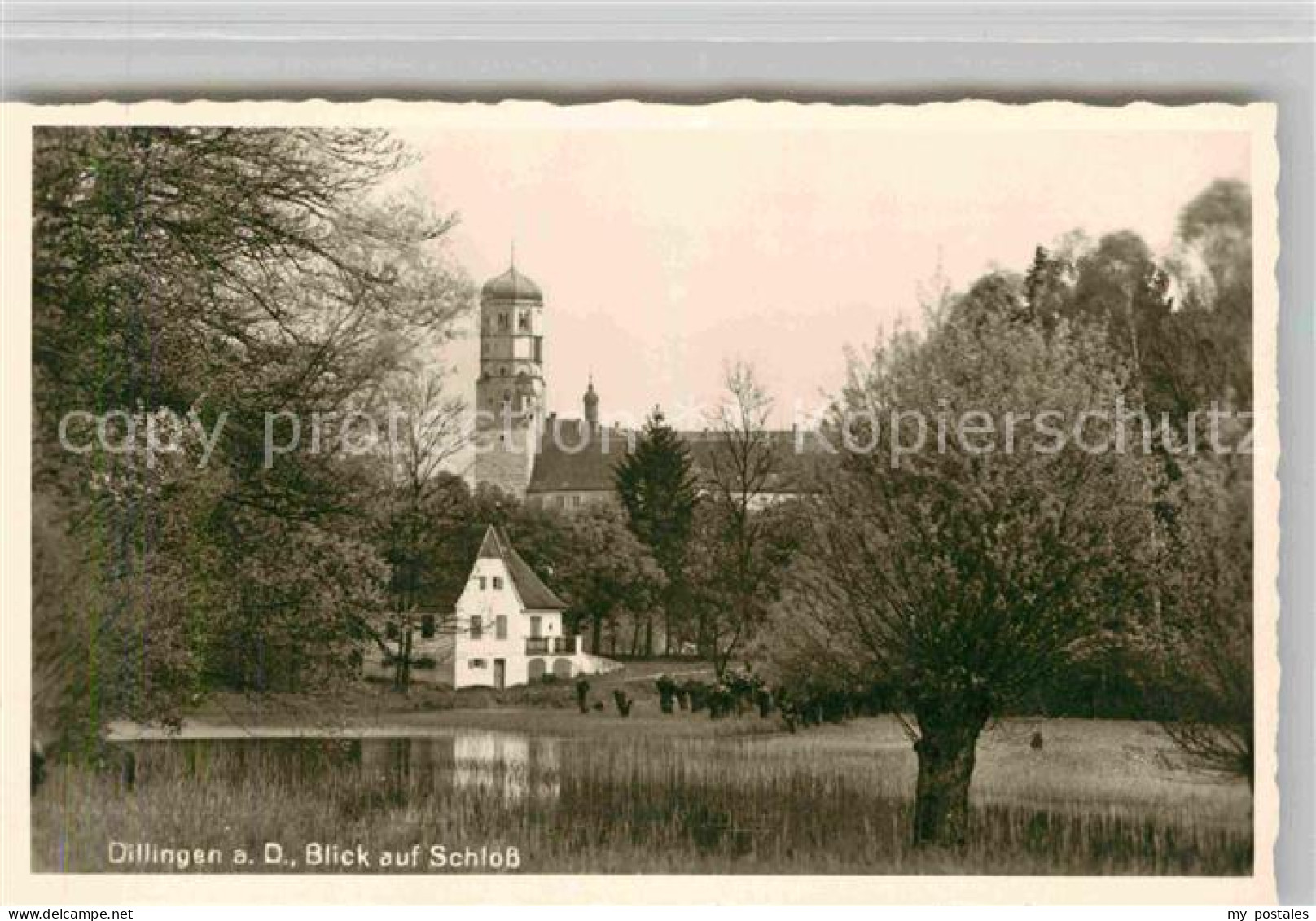 Dillingen Donau Schloss
