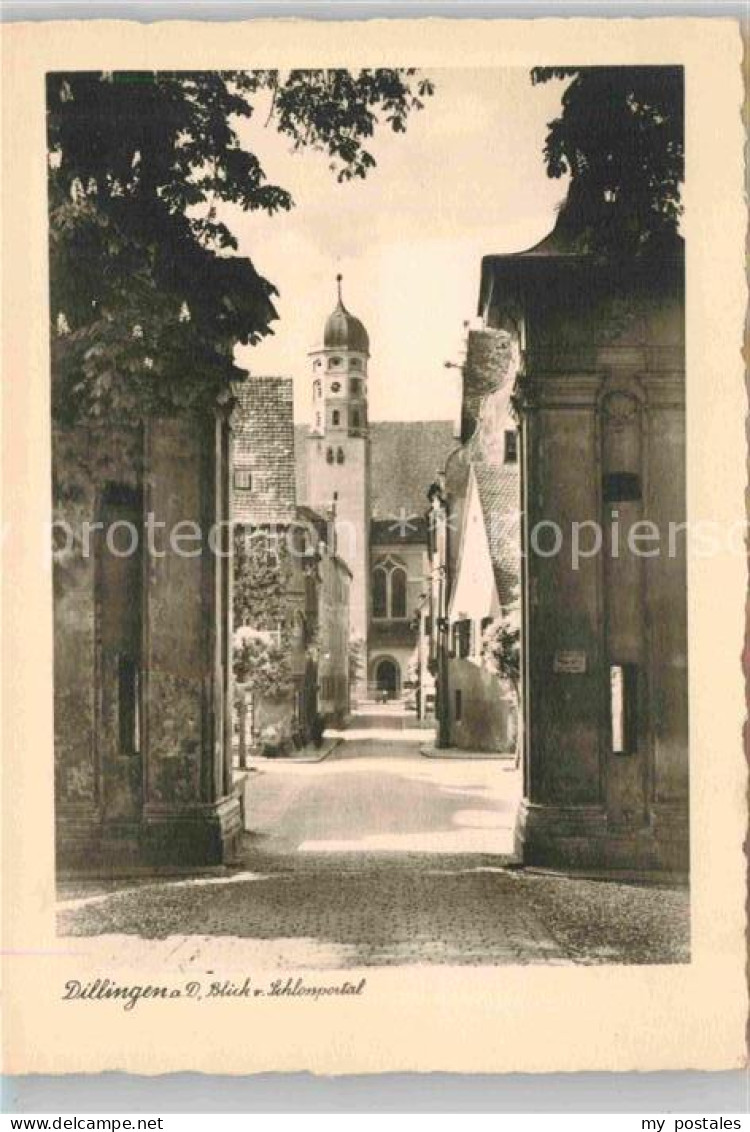 Dillingen Donau Schlossportal