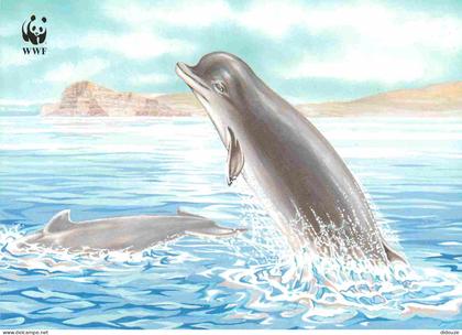 Carte Postale - Danemark - Døglingur hyperoodon ampullatus - Grand Dauphin - Carte WWF - Art illustration - Îles Féroé -