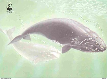 Carte Postale - Danemark - Slættibøka eubalaena glacialis - Baleine à bosse - Carte WWF - Art illustration - Îles Féroé