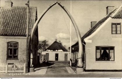 CPA Hals Denemarken, Hvalgabet