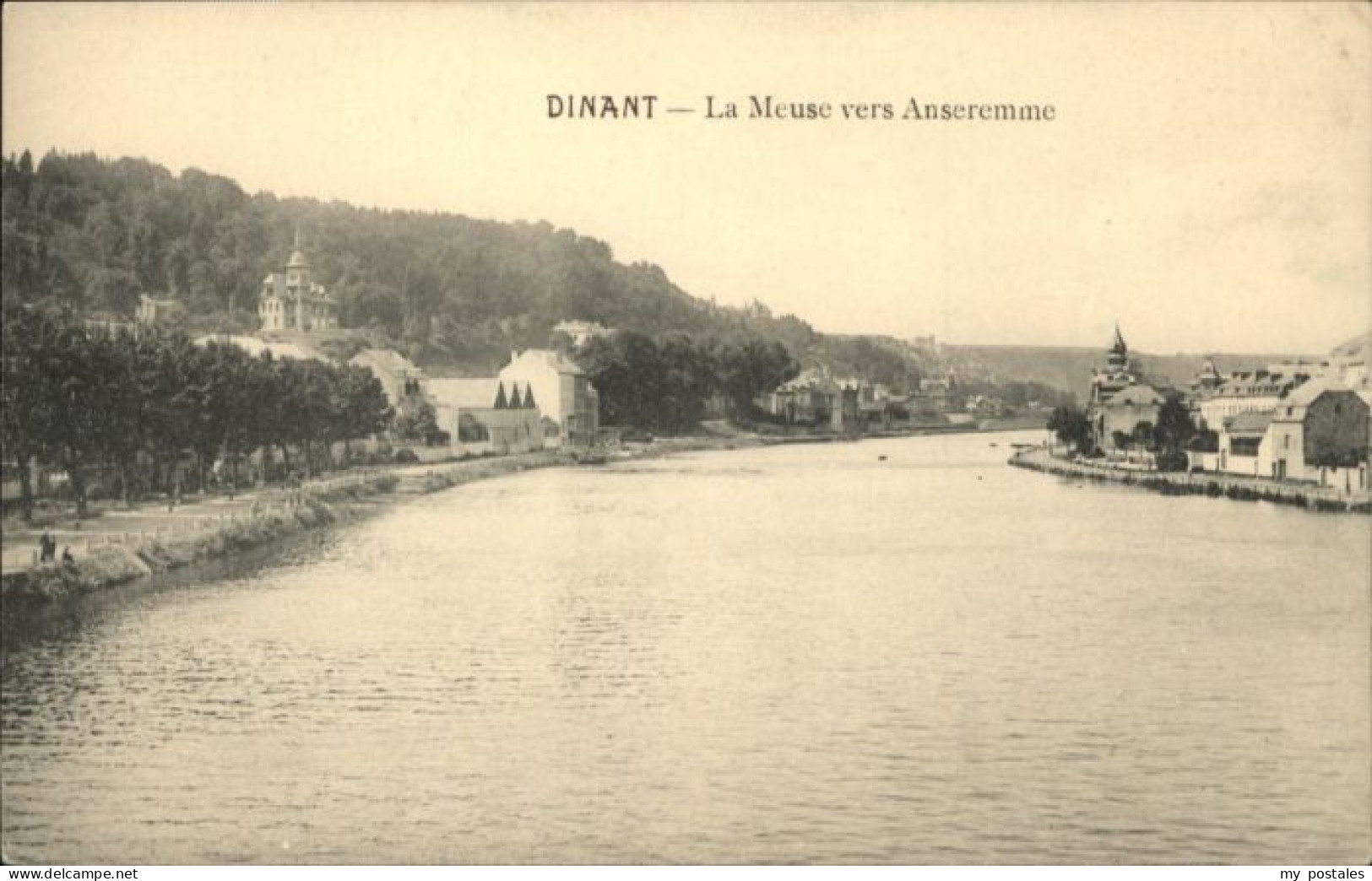 Dinant Wallonie Dinant Anseremme Meuse