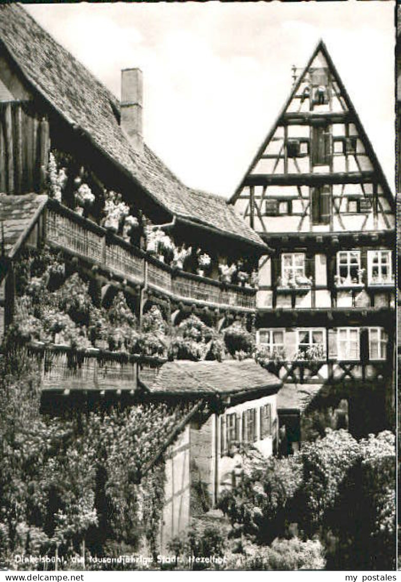 Dinkelsbuehl ezelhof