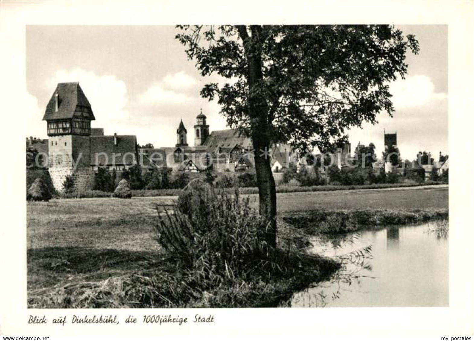 Dinkelsbuehl Panorama