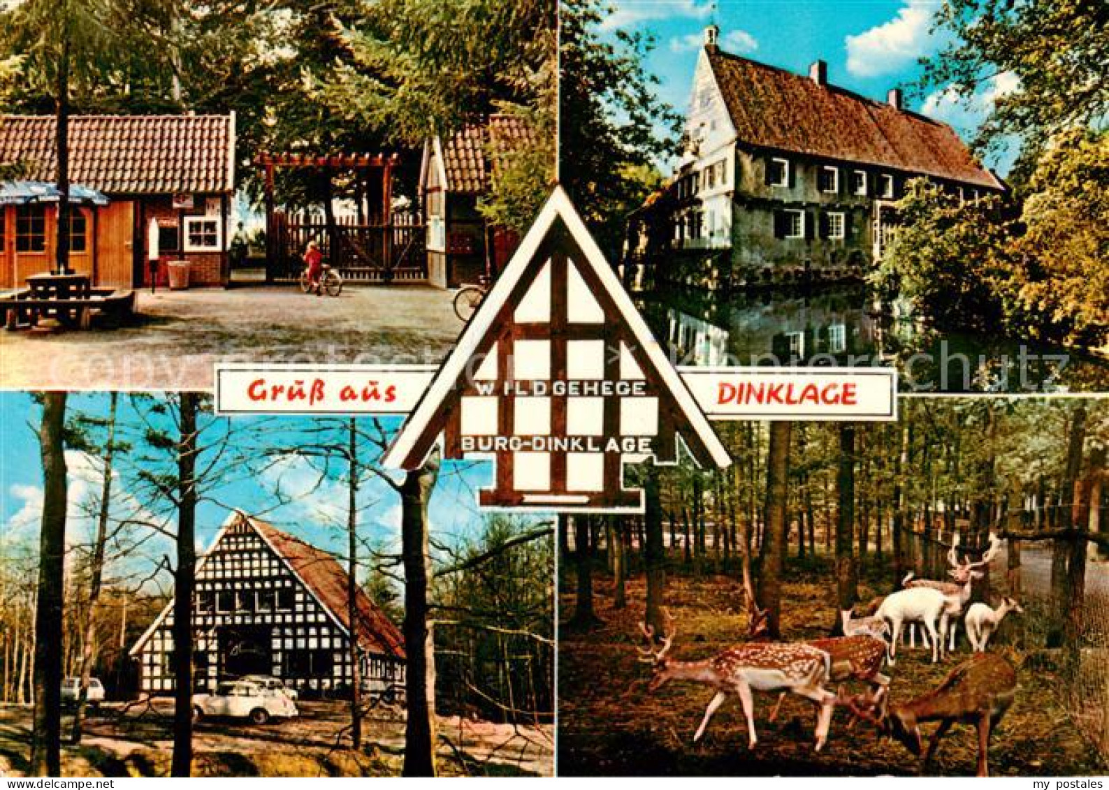 Dinklage Wildgehege Burg Dinklage