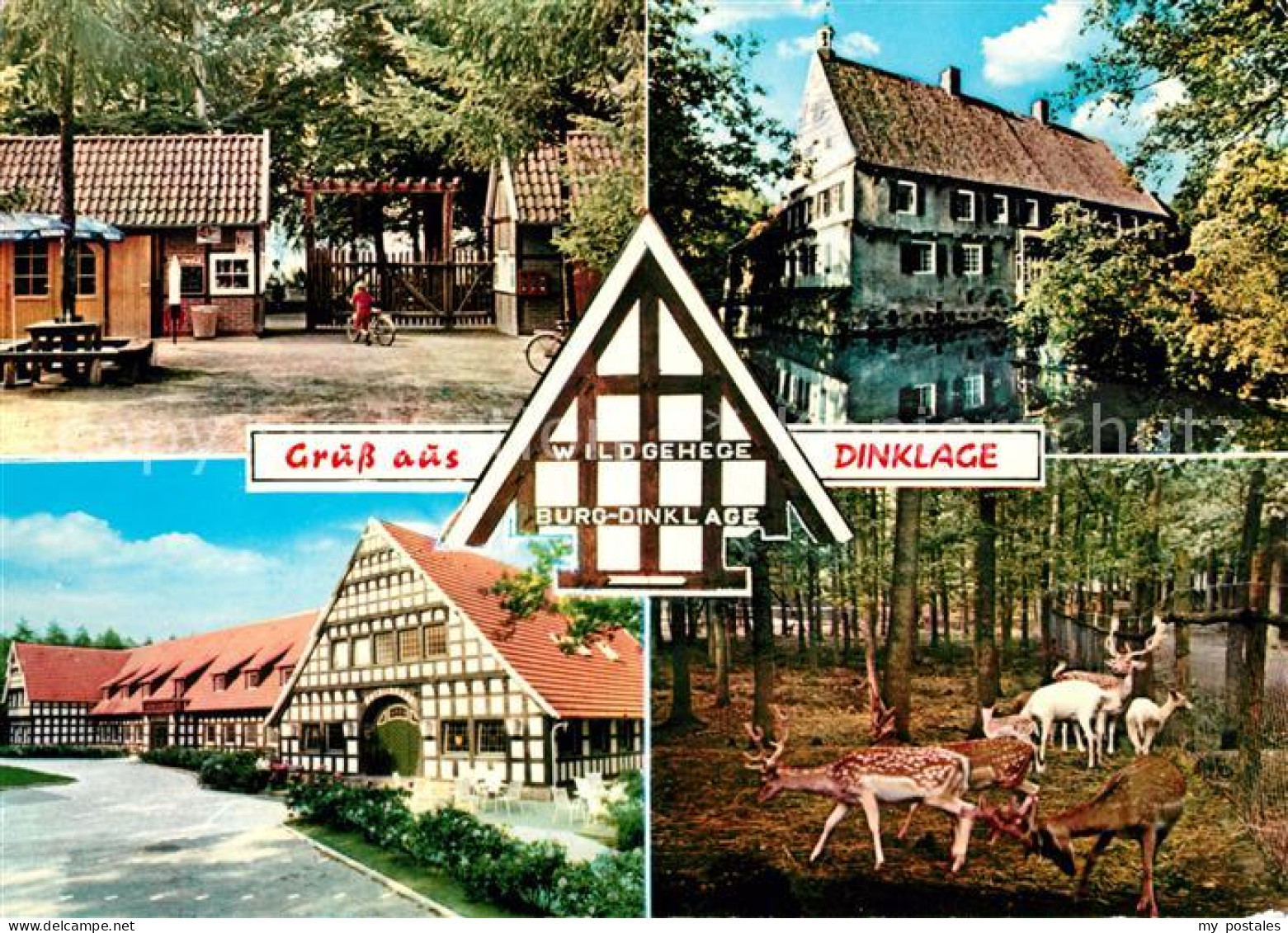 Dinklage Wildgehege Burg Fachwerk