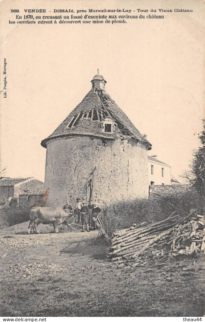 ¤¤    -    DISSAIS près de Mareuil-sur-LAY  -  Tour du Vieux Chateau      -   ¤¤