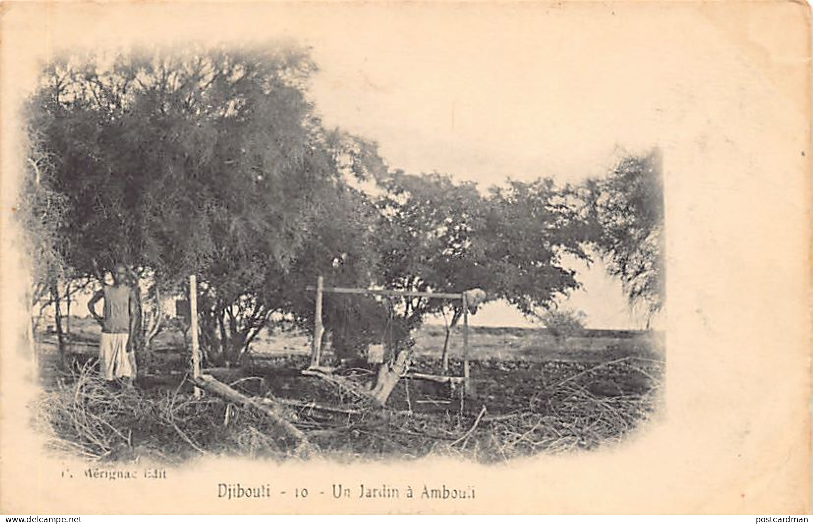 Djibouti - Un jardin à Ambouli - Ed. P. Mérignac 10