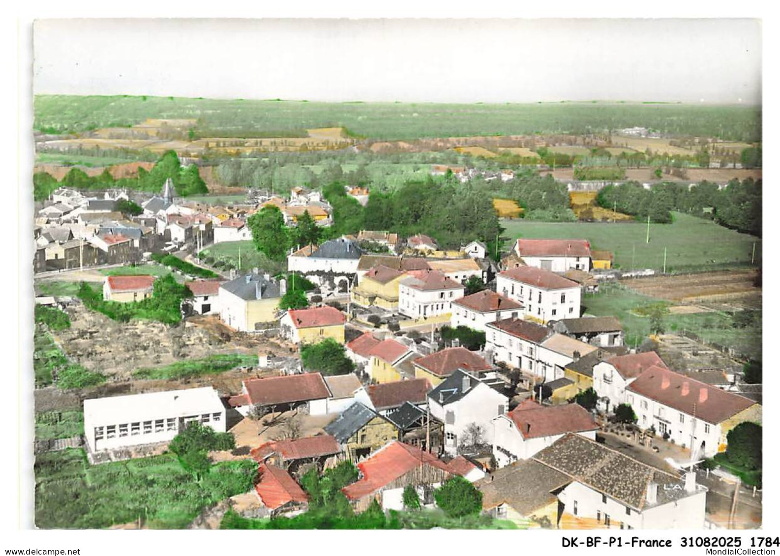 DK-BFP1-0893-87 - MEZIERE-SUR-ISSOIRE - En avion au-dessus - Le centre