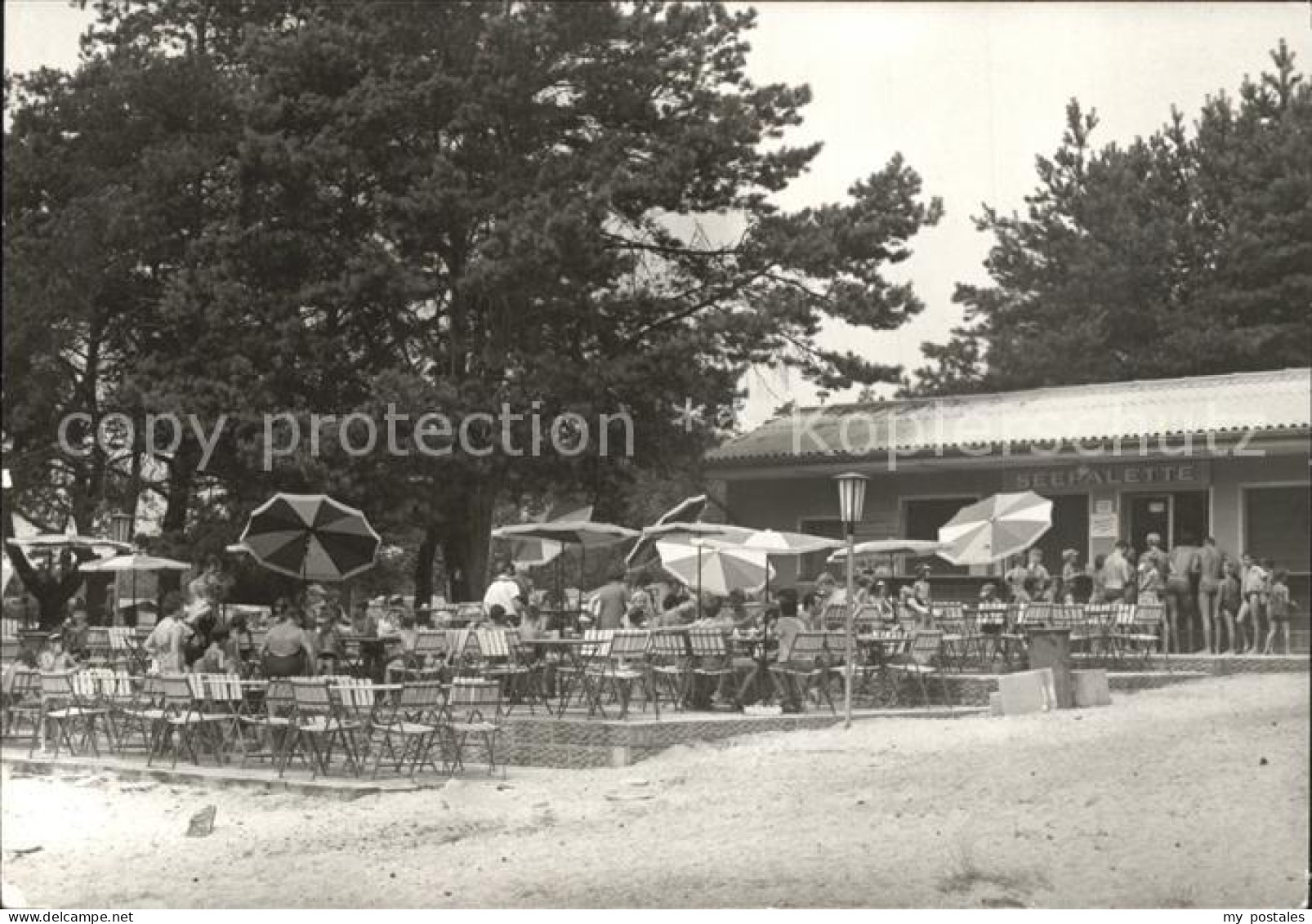 Dobbrikow Restaurant Seenpalette