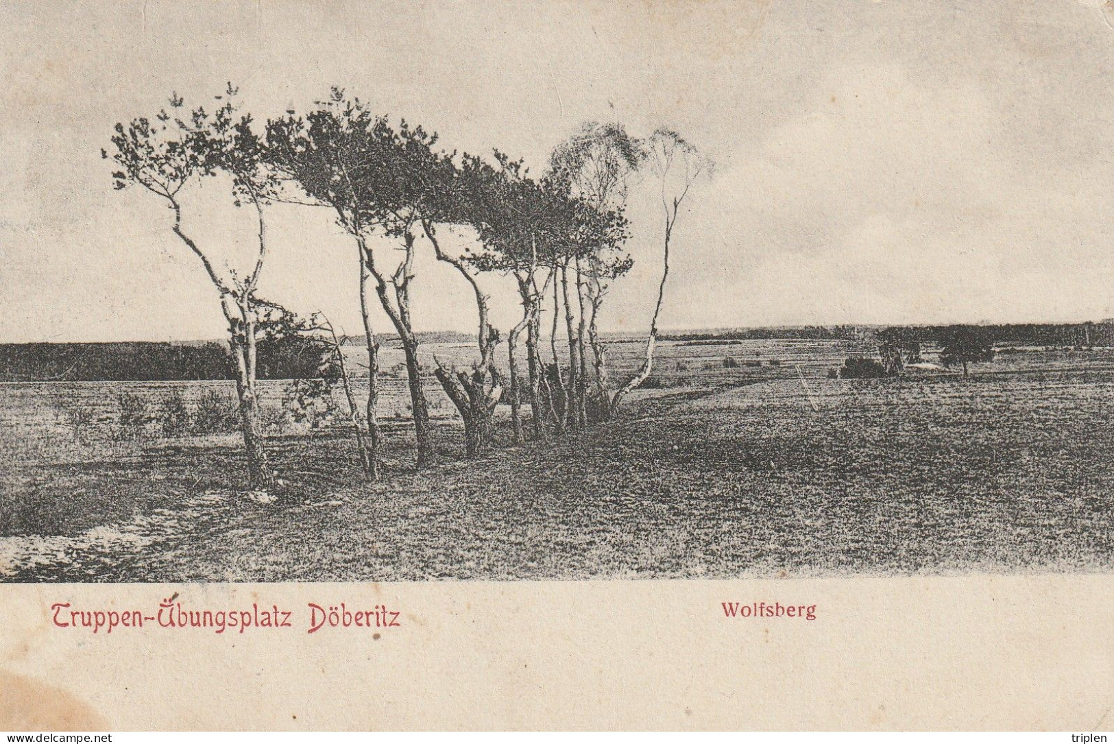 Doeberitz - Truppen Übungsplatz - Wolfsberg