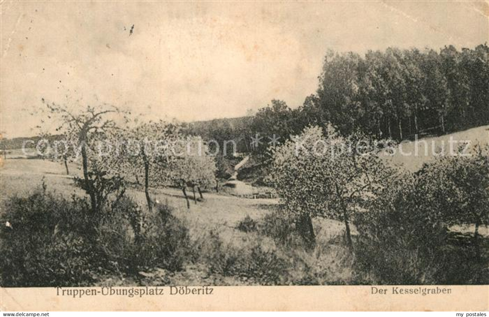 Doeberitz Truppenuebungsplatz Der Kesselgraben
