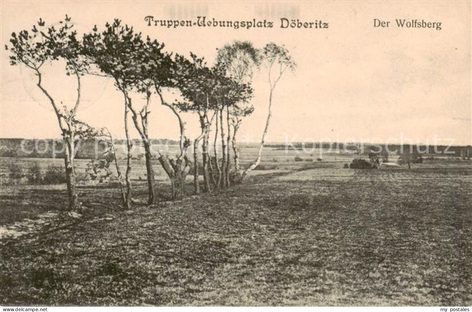 Doeberitz Truppenuebungsplatz Der Wolfsberg