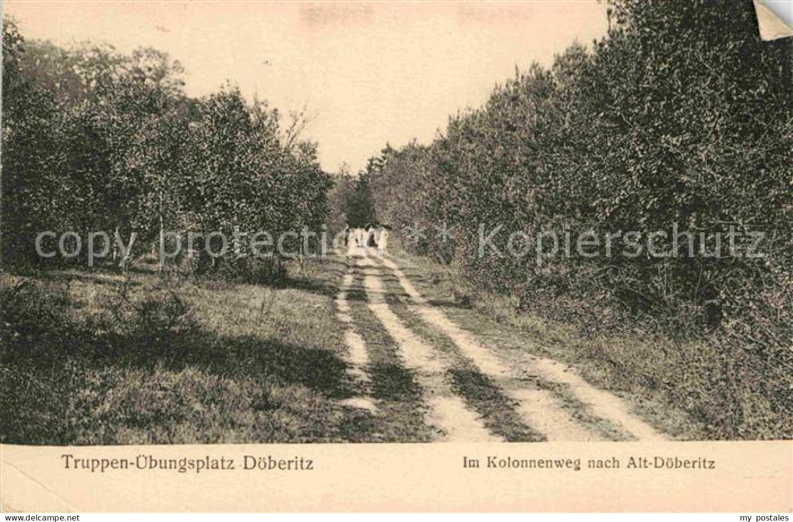 Doeberitz Truppenuebungsplatz Kolonnenweg nach Alt Doeberitz