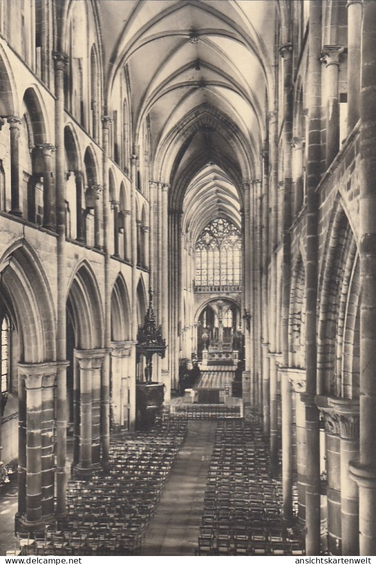 Dol-de-Bretagne (Ille-et-Vilaine) La Cathédrale ngl #E7824