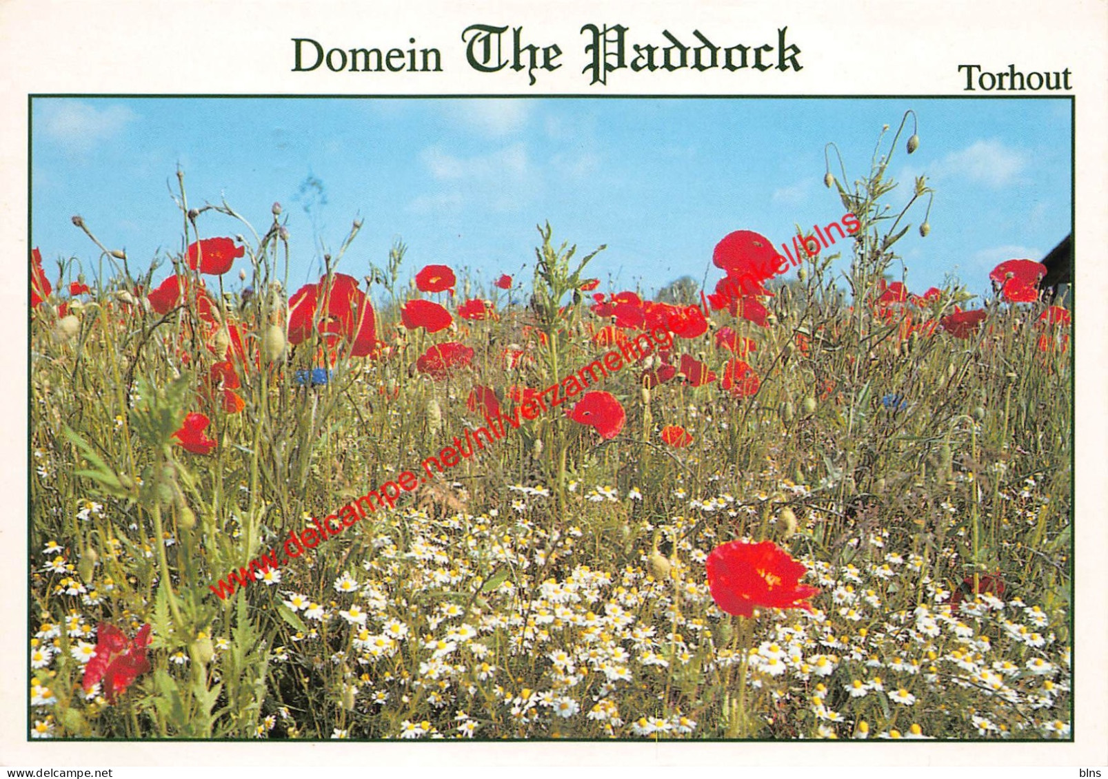 Domein The Paddock - Torhout