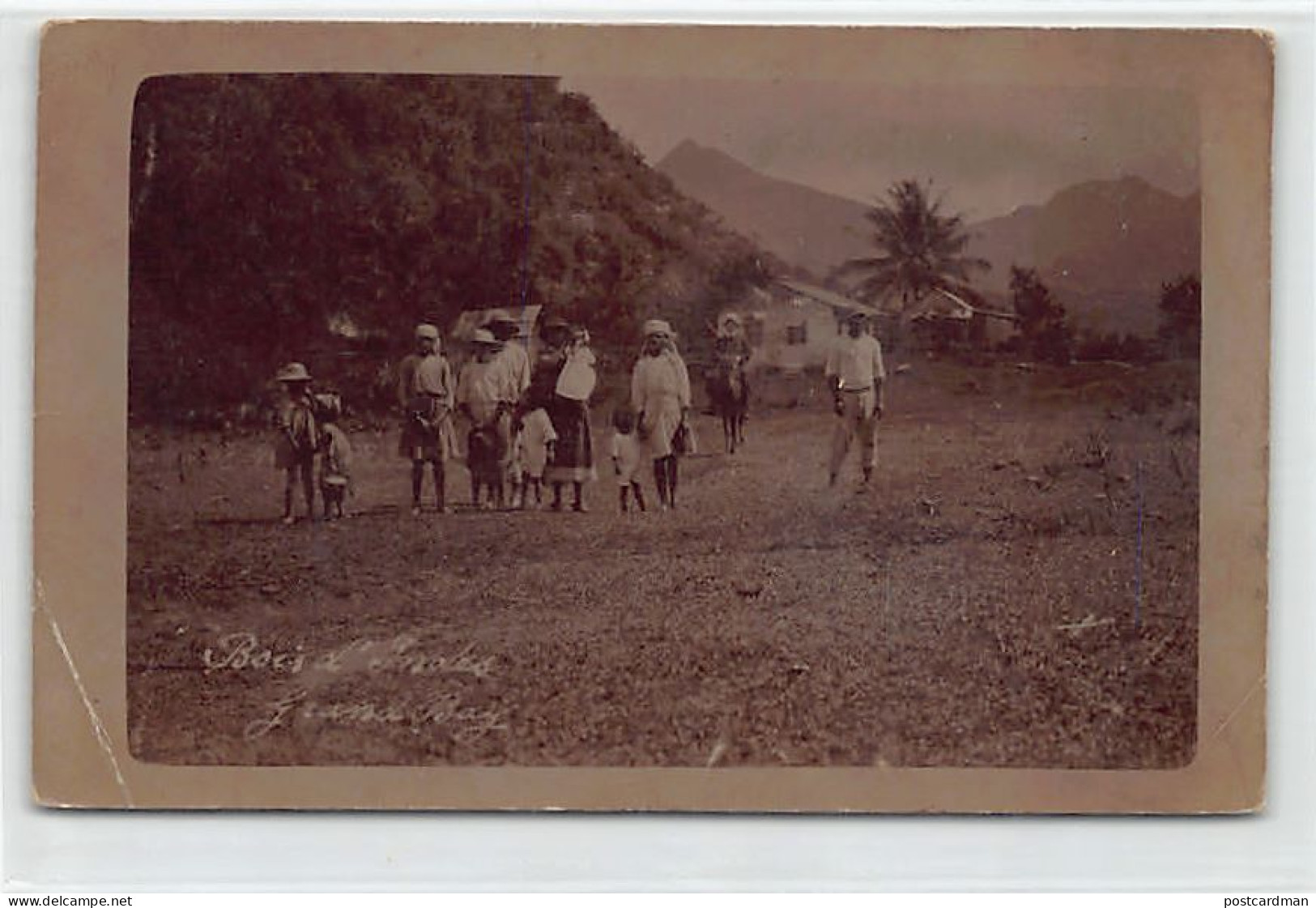 Dominica - GRAND BAY - Bois d'Inde - REAL PHOTO See scans for condition