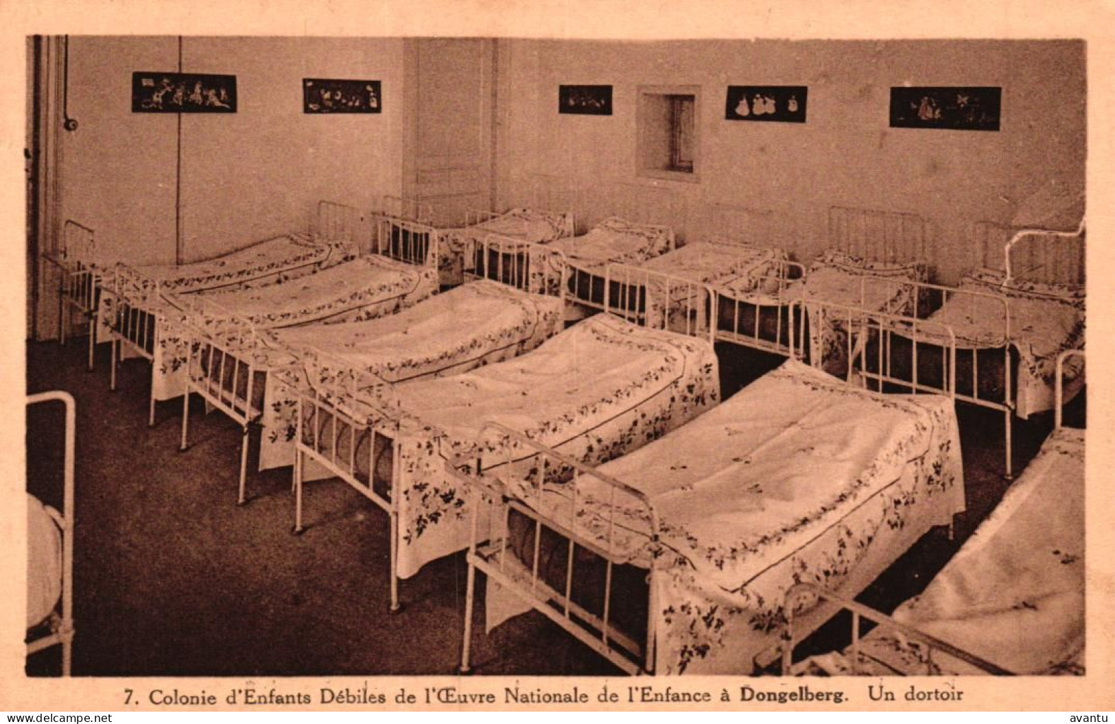 DONGELBERG / COLONIE