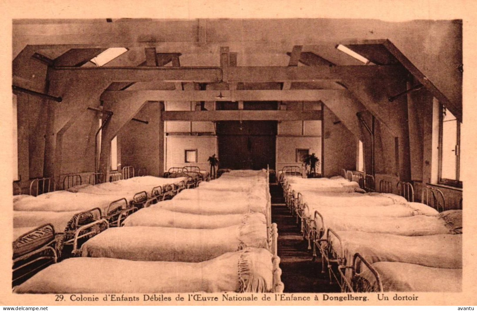 DONGELBERG / COLONIE