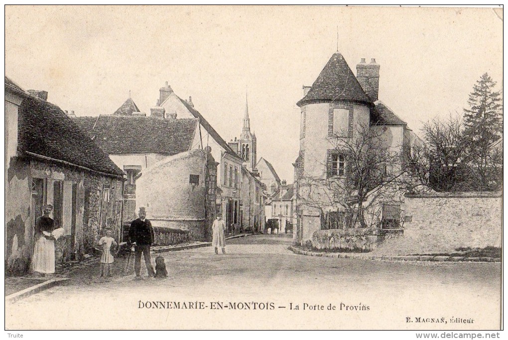 DONNEMARIE-DONTILLY DONNEMARIE-EN-MONTOIS LA PORTE DE PROVINS ANIMEE