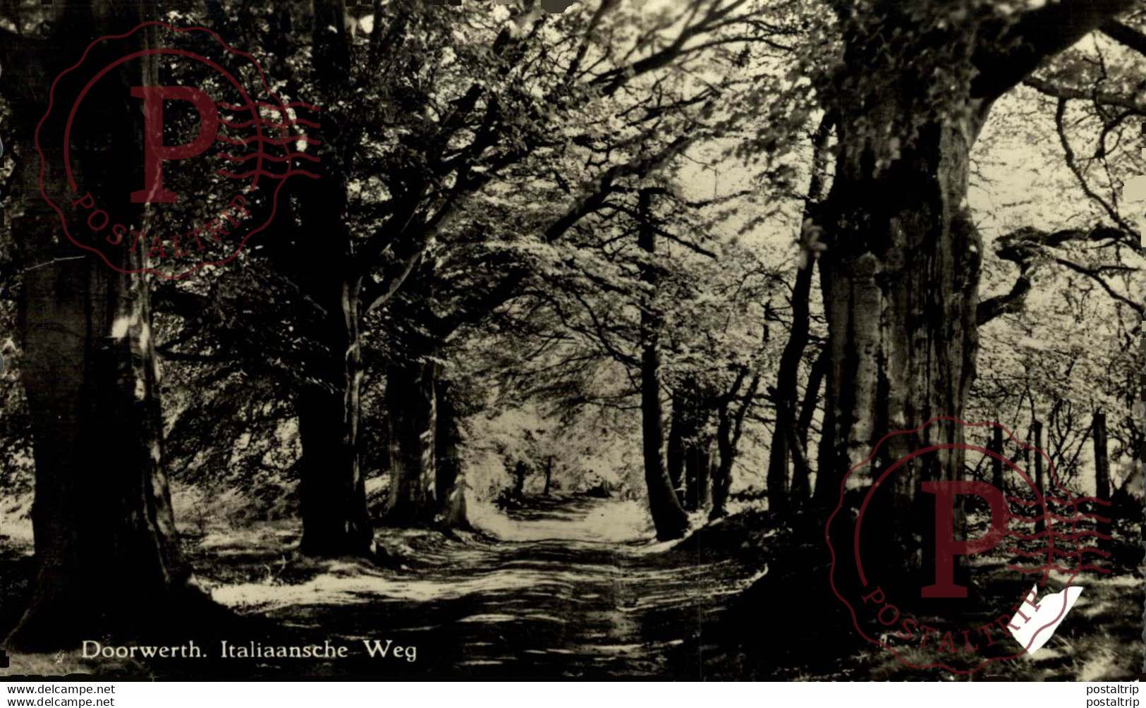 Doorwerth Italiaansche Weg Renkum Gelderland  HOLLAND HOLANDA NETHERLANDS
