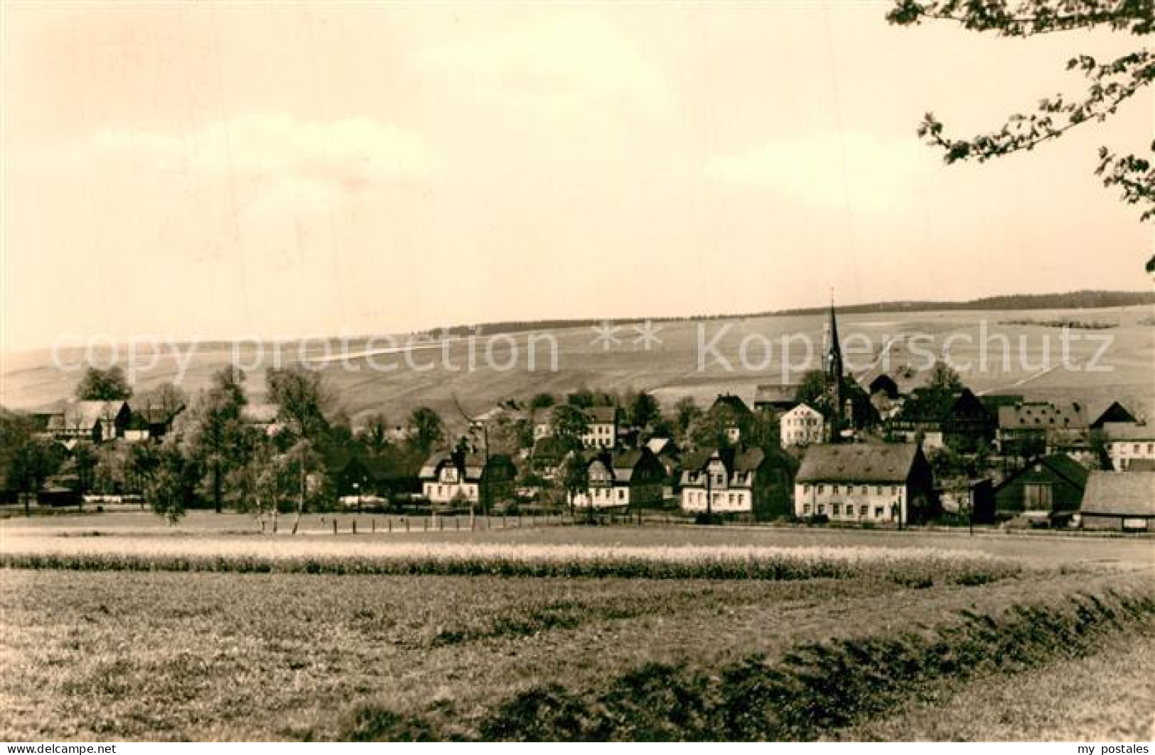 Dorfchemnitz Zwoenitz Panorama