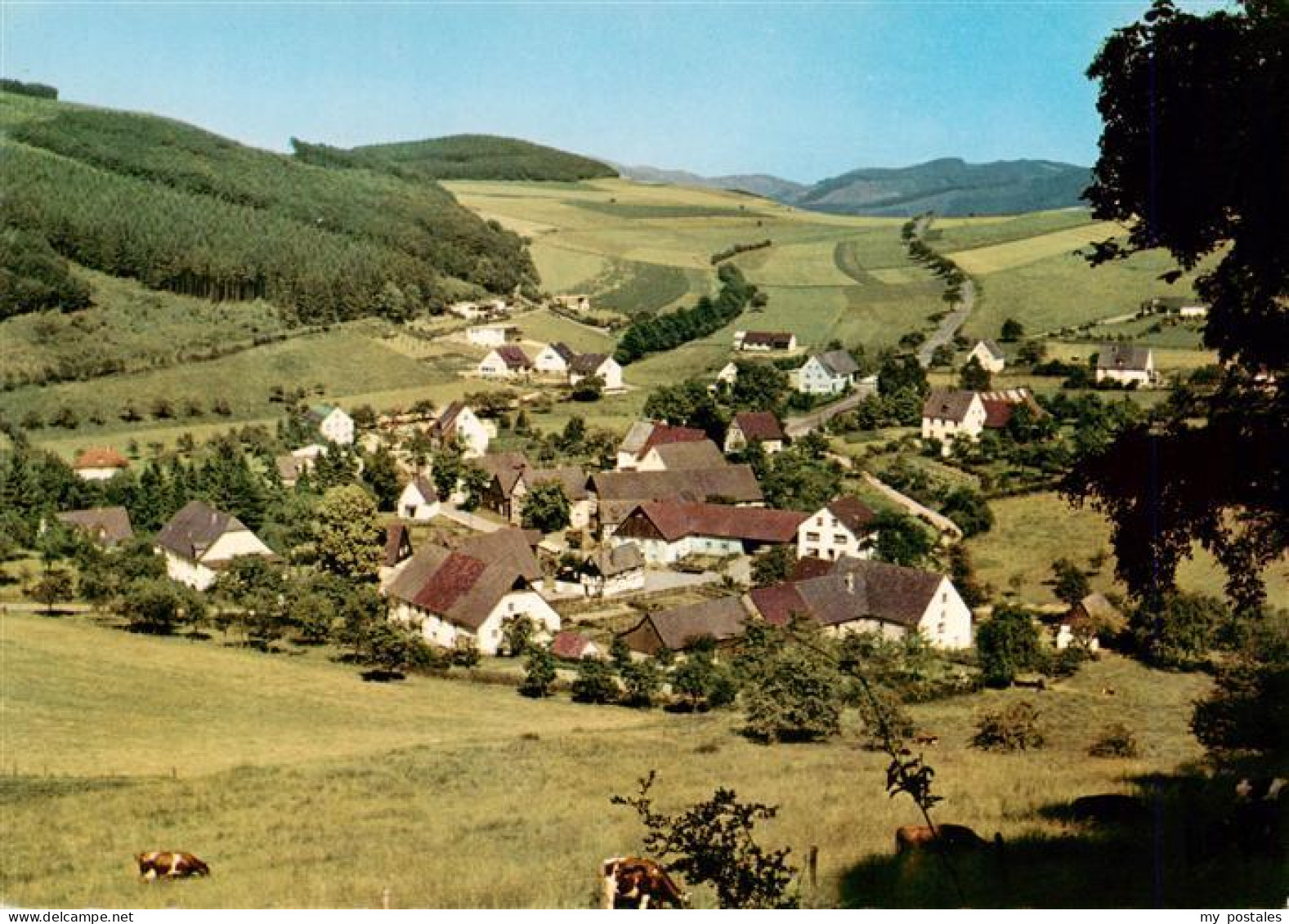 Dornholthausen Sundern Panorama