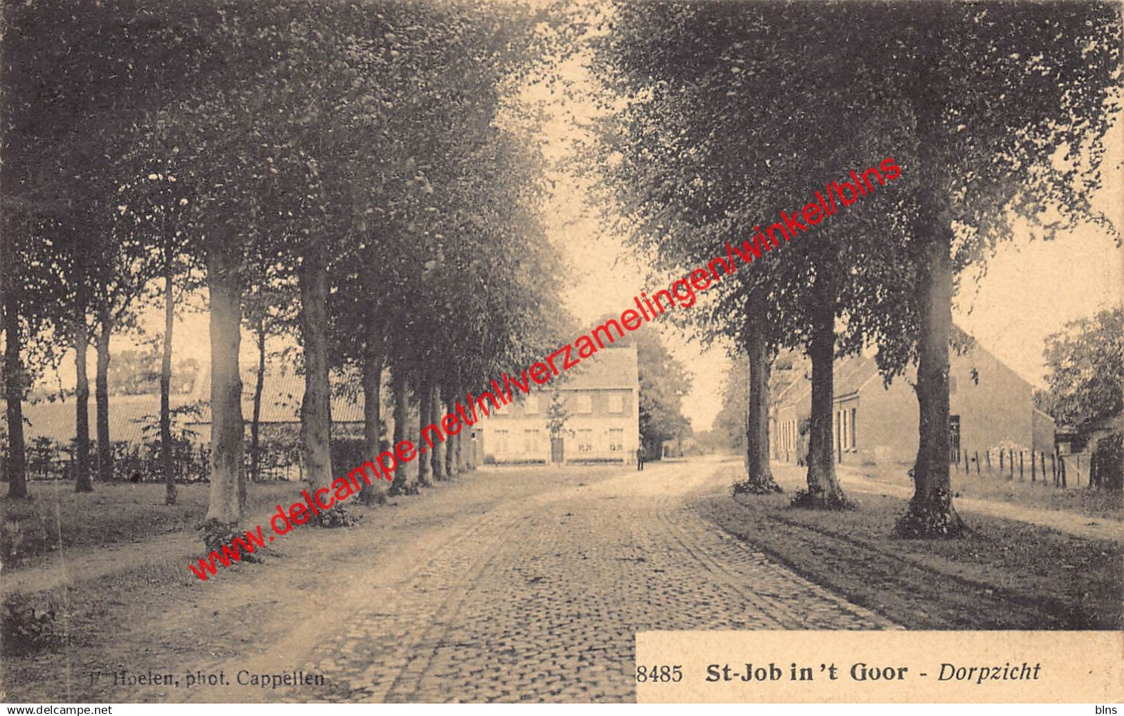 Dorpzicht - F. Hoelen - Sint-Job-in-'t-Goor