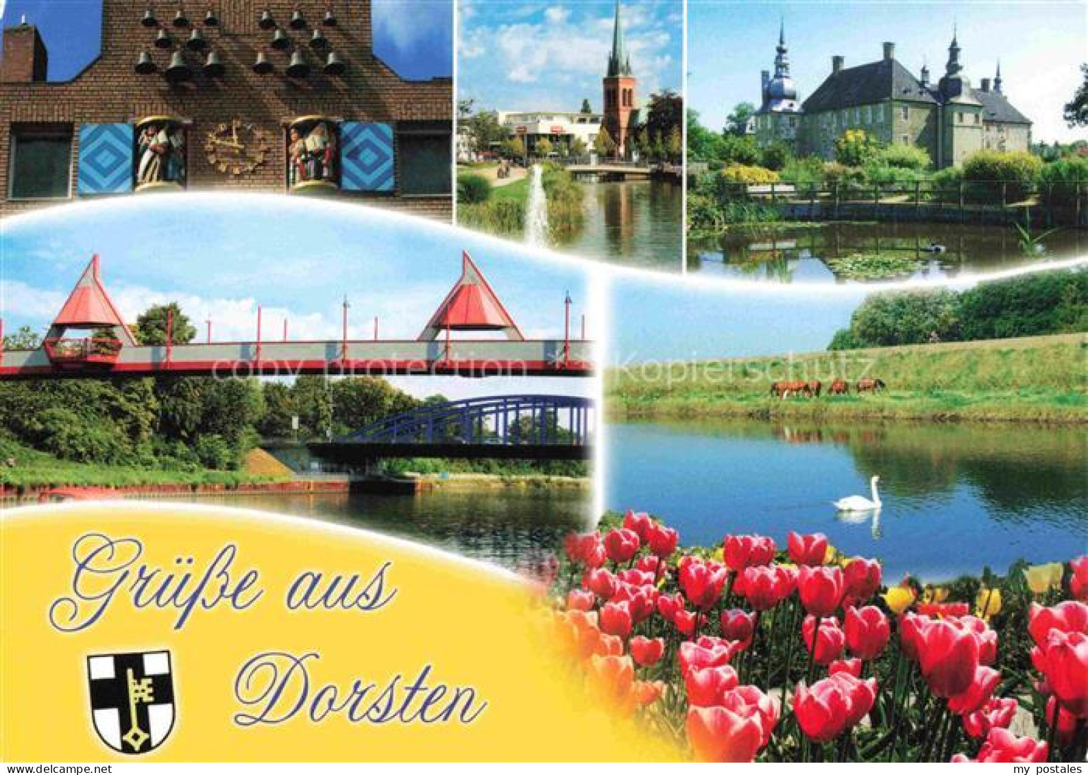 Dorsten Rathaus Glockenspiel Kirche Schloss Kanal Bruecke Pferde Schwan Tulpen