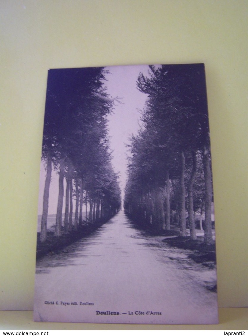 DOULLENS (SOMME) LES ARBRES. LA COTE D'ARRAS.