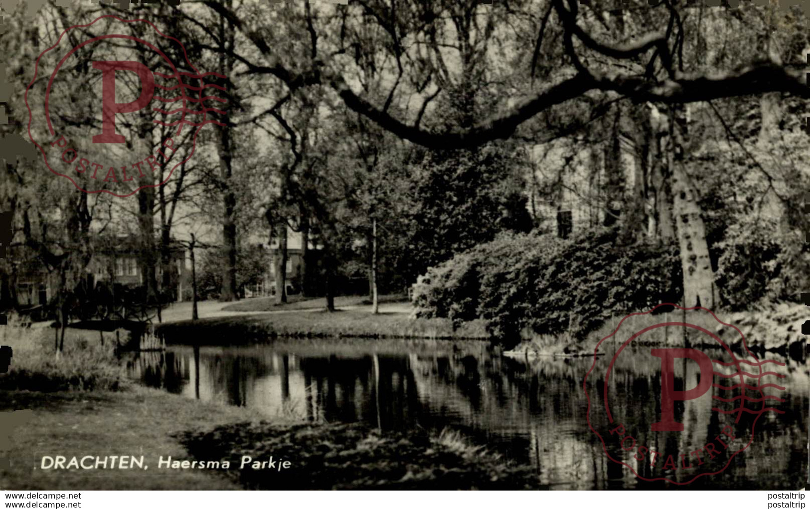 Drachten  Haersma Parkje  FRIESLAND DRACHTEN  HOLLAND HOLANDA NETHERLANDS