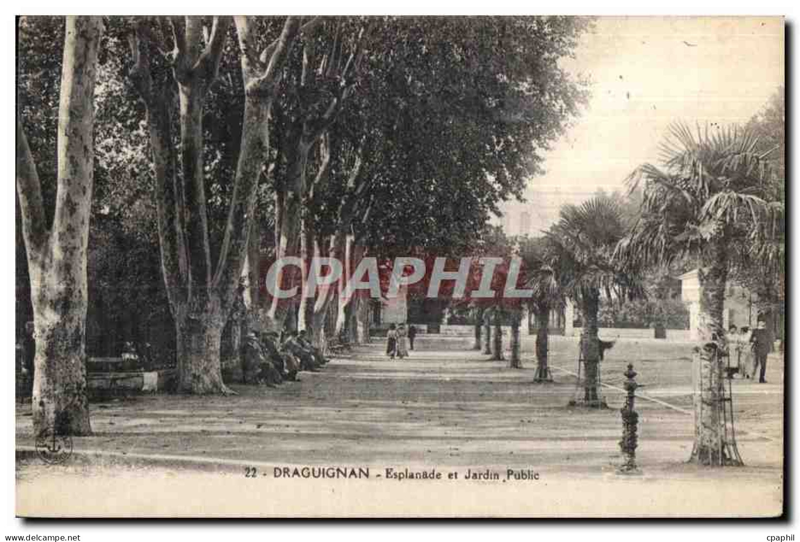 Draguignan - Esplanade et Jardin Public - CPA