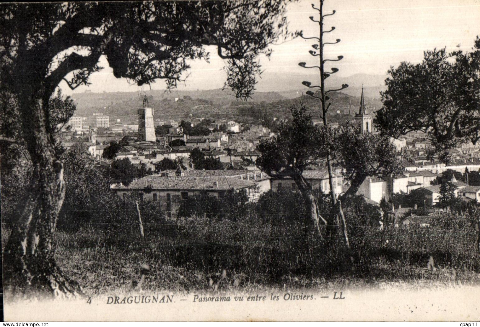 Draguignan - Vue Generale entre ls Oliviers - CPA