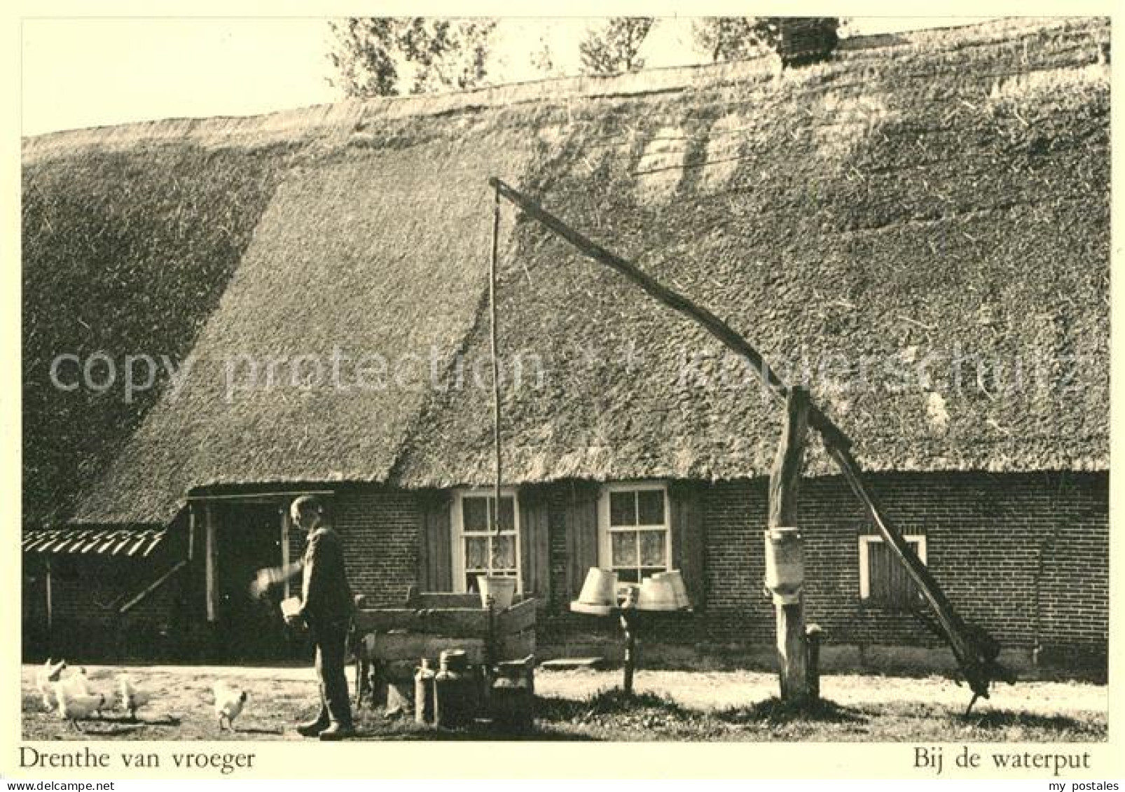 Drenthe Bij de waterput Huehner