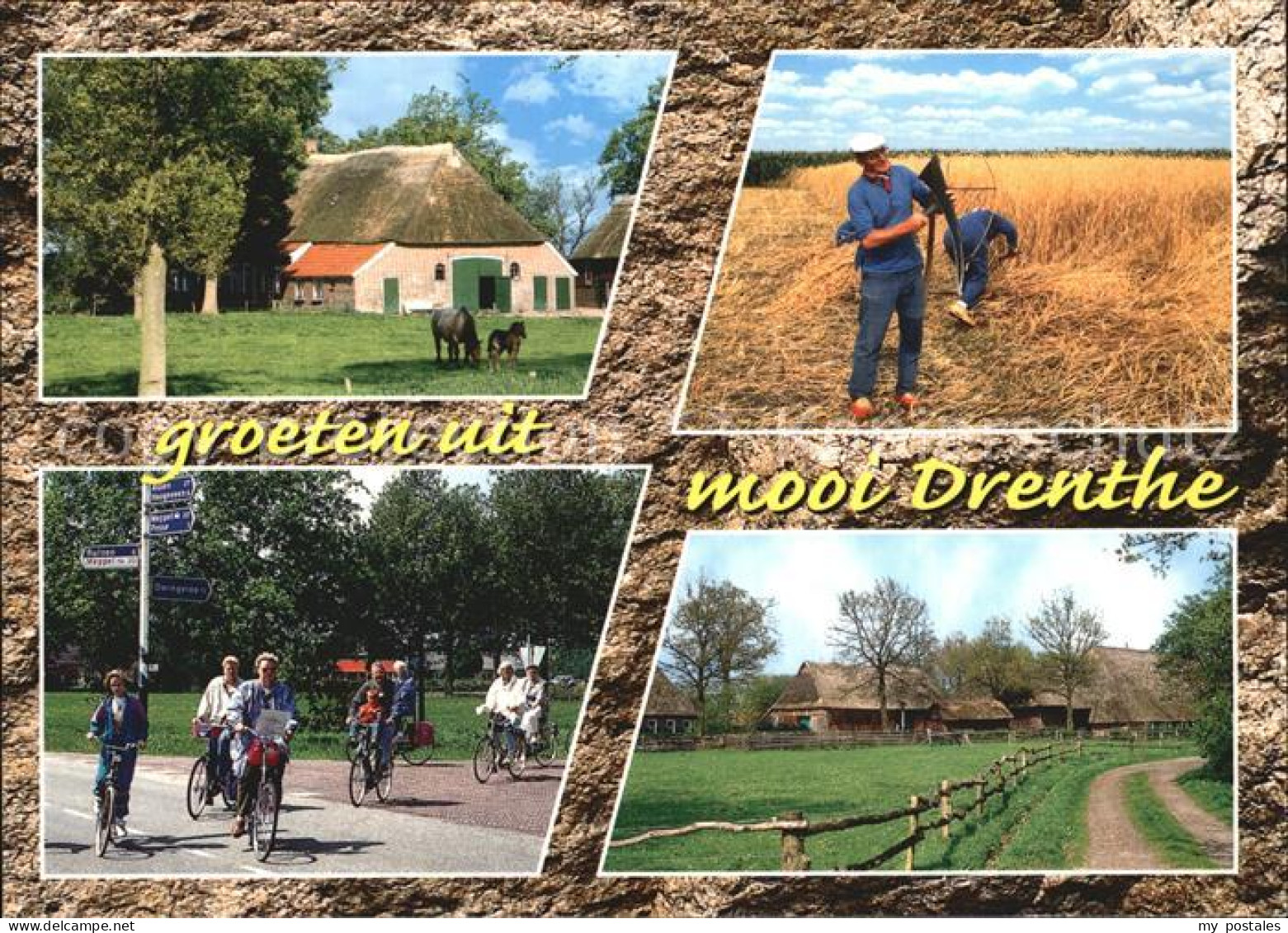 Drenthe Radfahrer Bauernhof