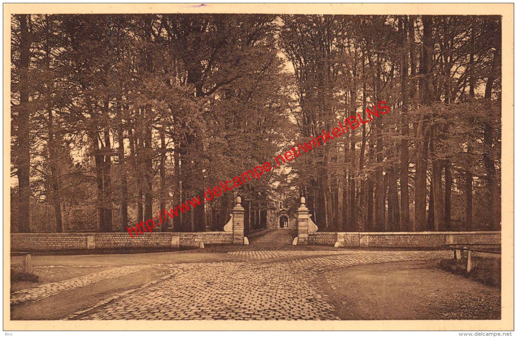 Drève de Warfusée - Saint-Georges-sur-Meuse