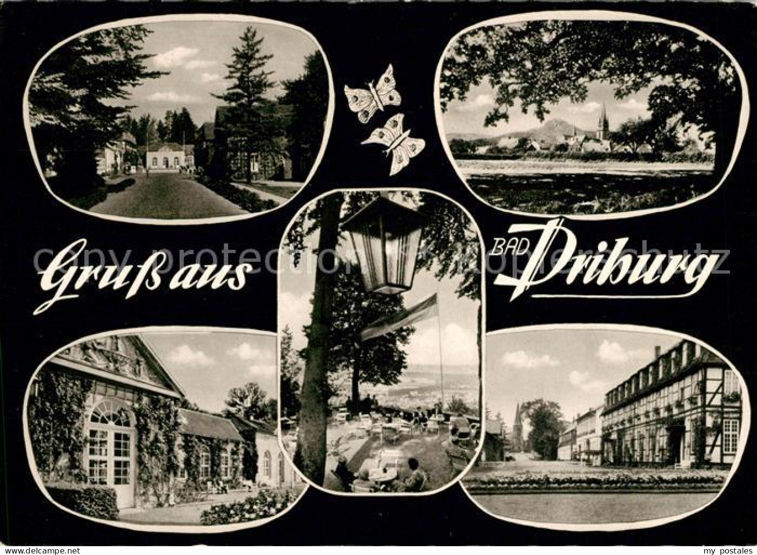 Driburg Bad