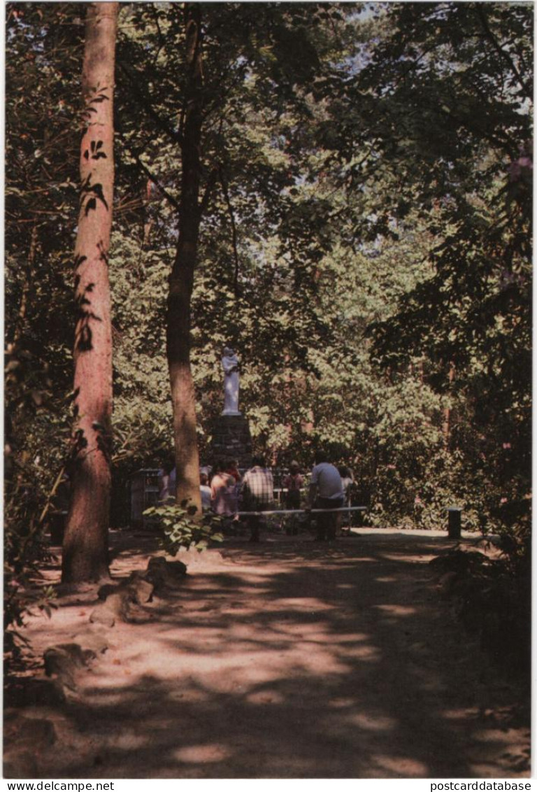 Drieboomkensberg -  Malle-West