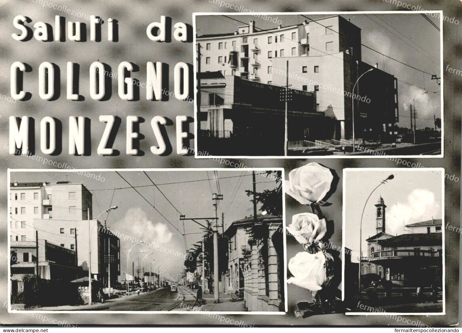 ds529 cartolina saluti da cologno monzese provincia di milano